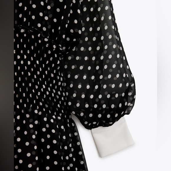 Elegant Black and White Polka Dot Dress - Picture 9 of 11